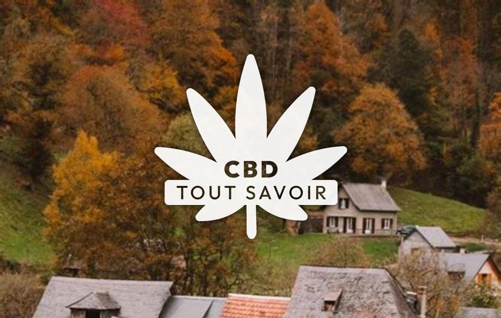 Village à Bethmale avec feuille Cannabis CBD