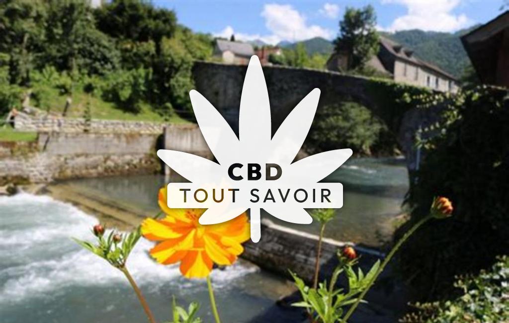 Village à Bordes-Uchentein avec feuille Cannabis CBD