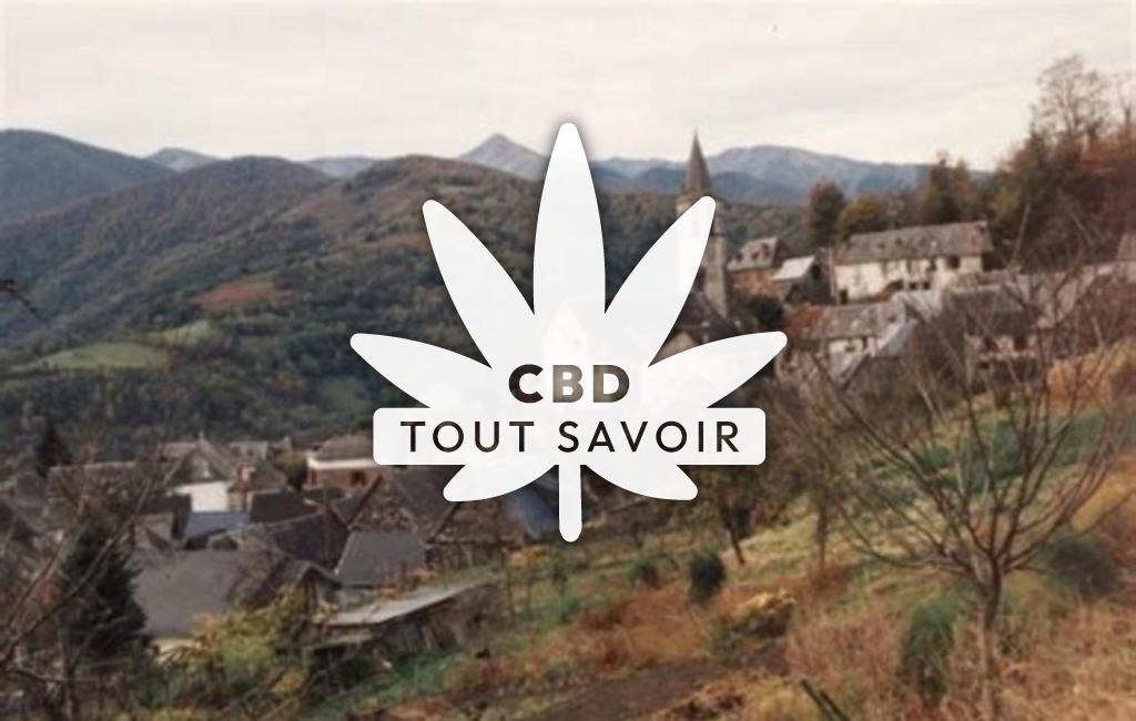 Village à Galey avec feuille Cannabis CBD