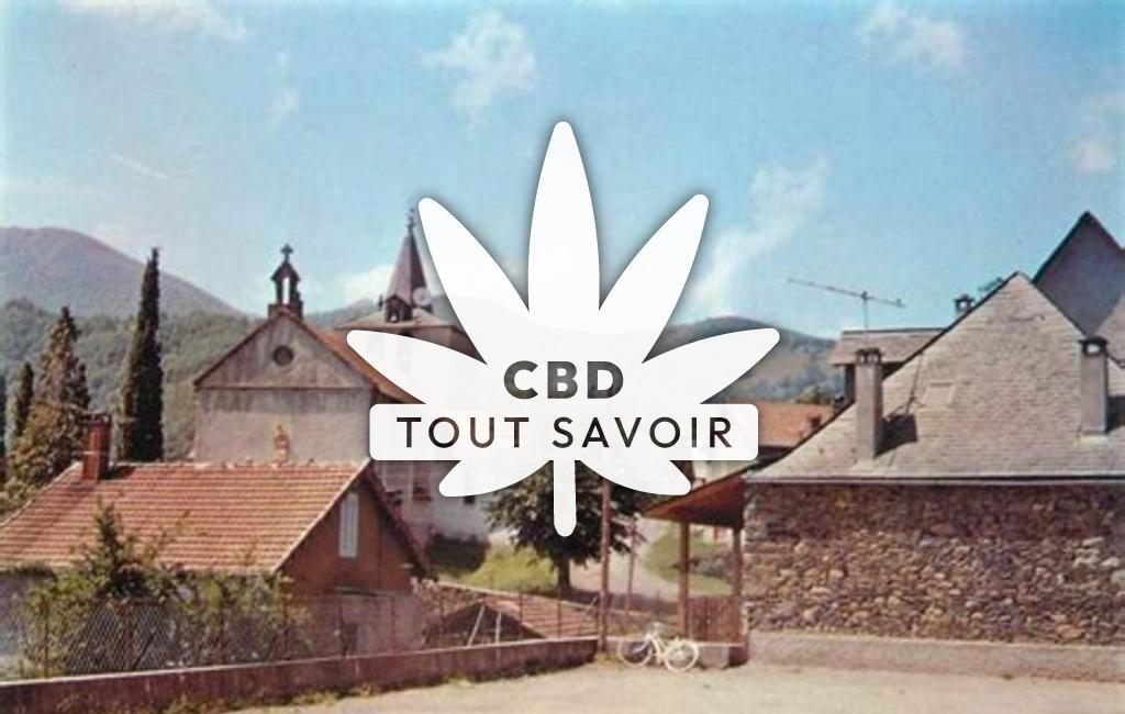 Village à Orgibet avec feuille Cannabis CBD