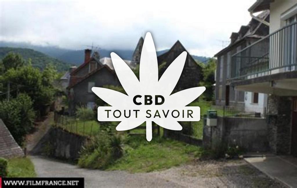 Village à Saint-Jean-du-Castillonnais avec feuille Cannabis CBD