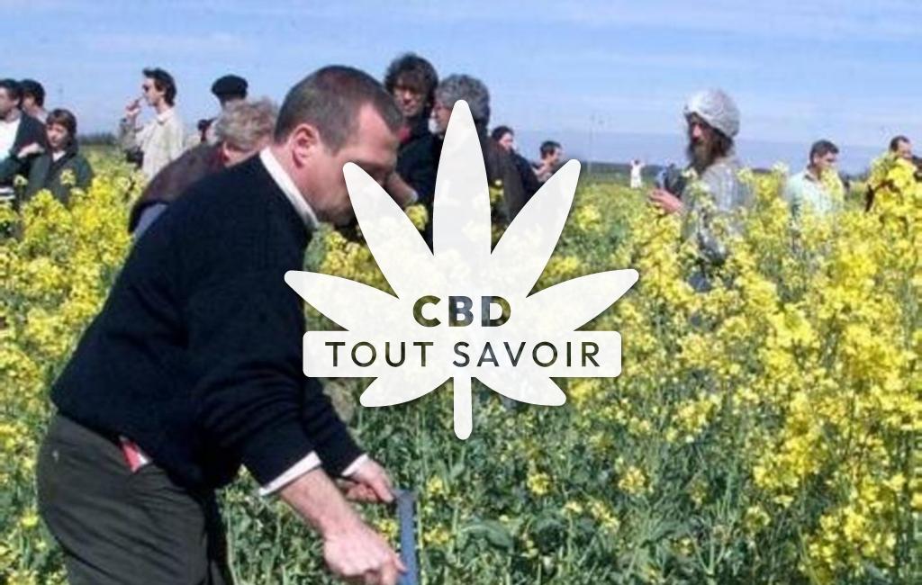 Village à Villeneuve avec feuille Cannabis CBD