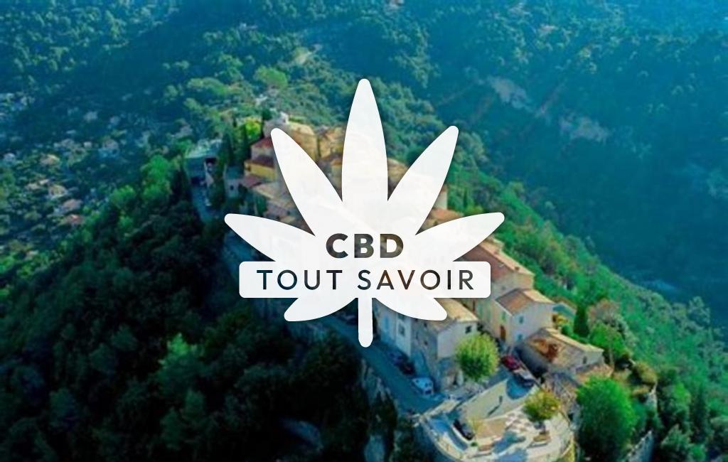 Village à La-Roquette-sur-Var avec feuille Cannabis CBD