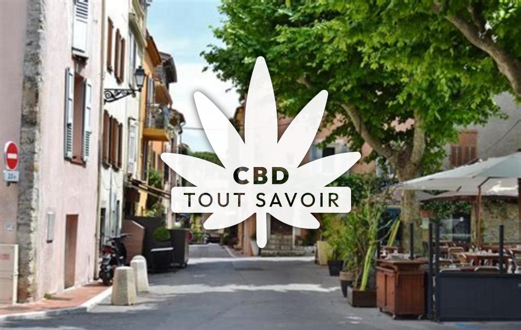 Village à Mouans-Sartoux avec feuille Cannabis CBD