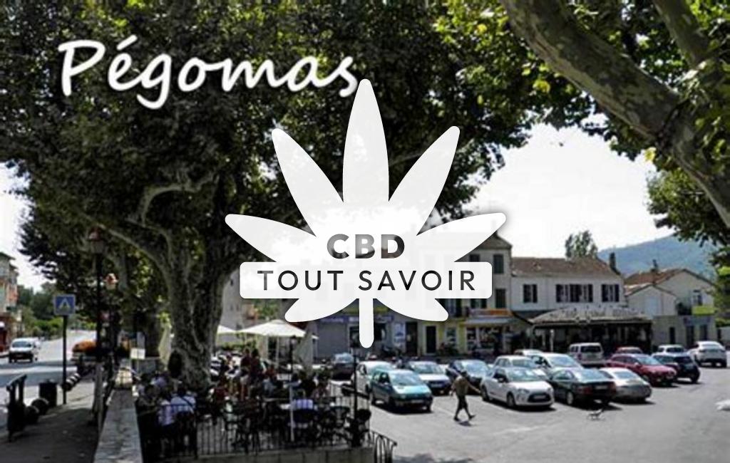 Village à Pegomas avec feuille Cannabis CBD