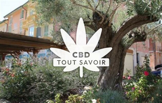 Village à Roquebilliere avec feuille Cannabis CBD