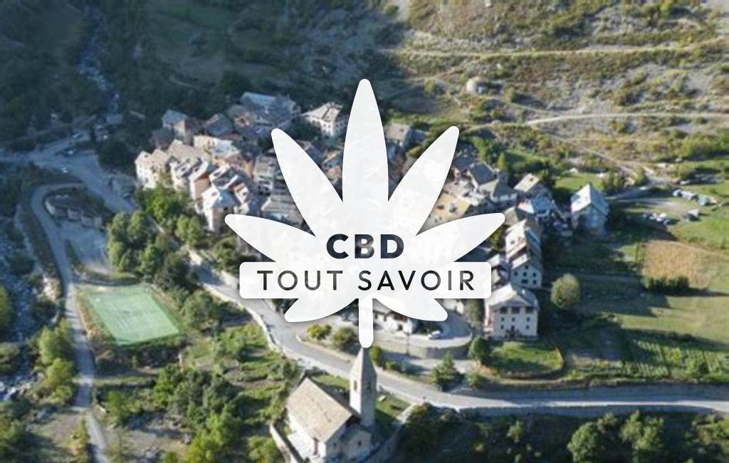 Village à Saint-Dalmas-le-Selvage avec feuille Cannabis CBD