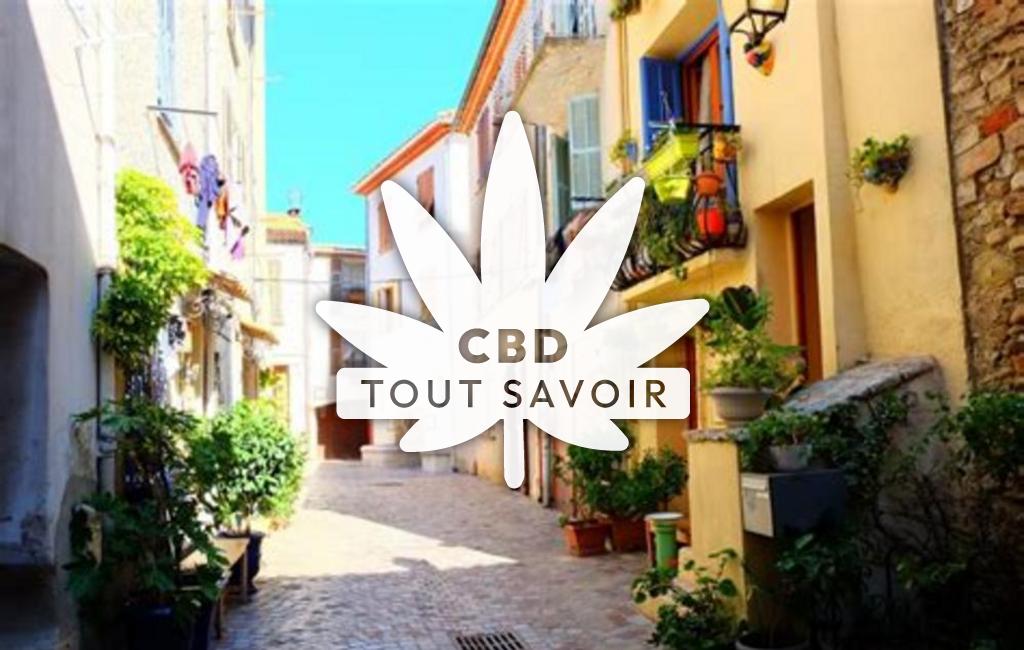 Village à Saint-Laurent-du-Var avec feuille Cannabis CBD