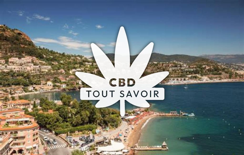 Village à Theoule-sur-Mer avec feuille Cannabis CBD