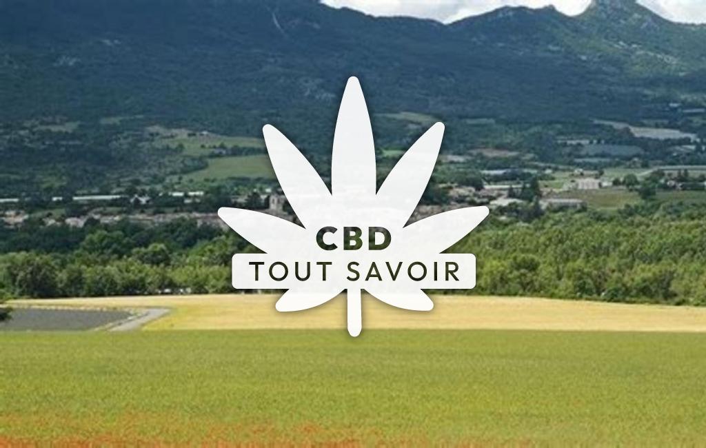 Village à Val-Buech-Meouge avec feuille Cannabis CBD