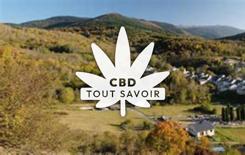 Village à Escouloubre avec feuille Cannabis CBD