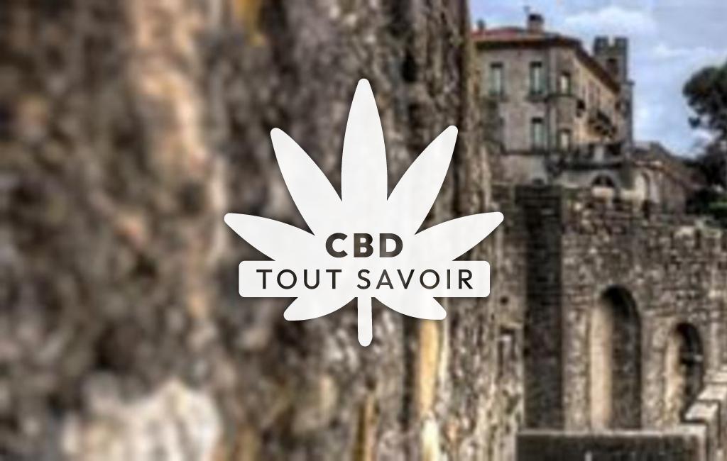 Village à Niort-de-Sault avec feuille Cannabis CBD