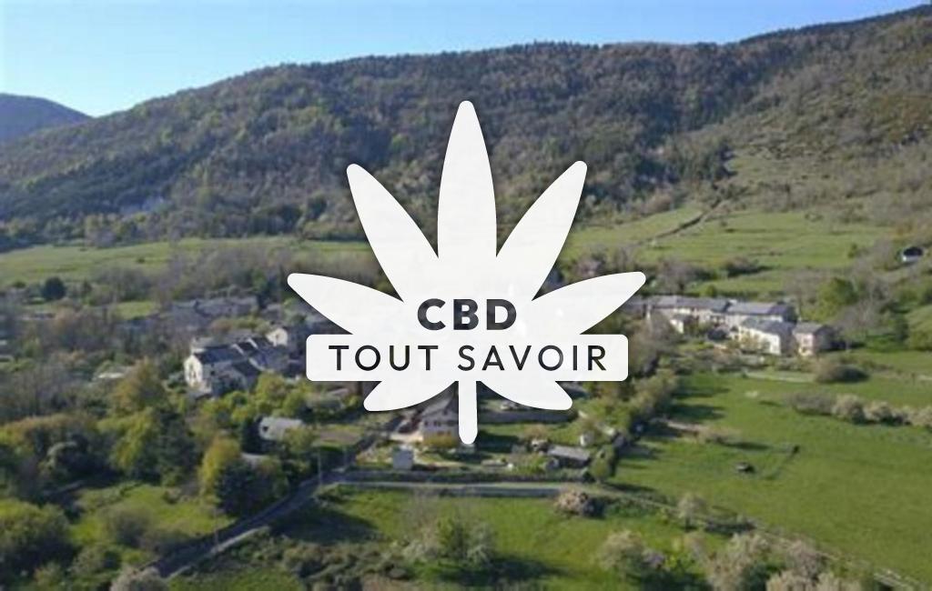 Village à Roquefort-de-Sault avec feuille Cannabis CBD