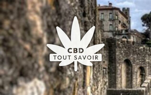 Village à Salvezines avec feuille Cannabis CBD