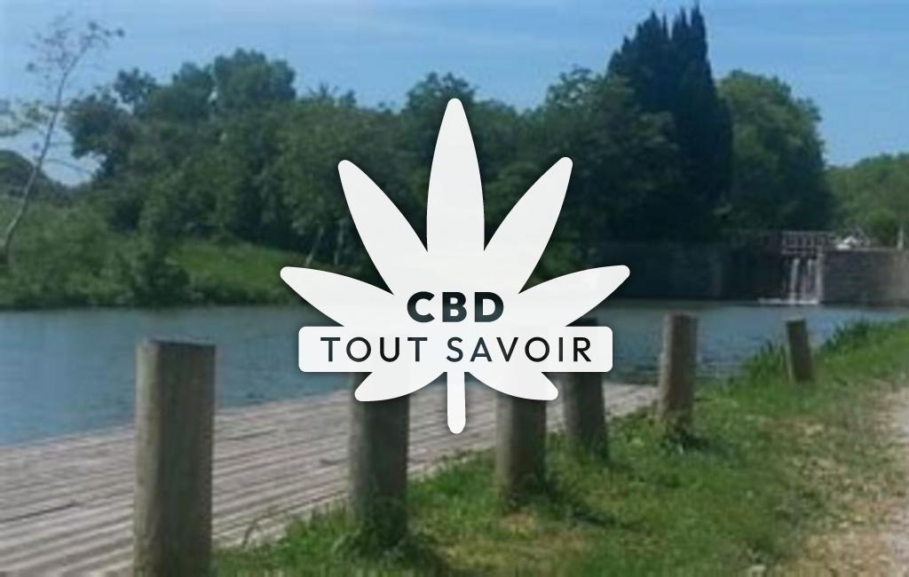 Village à Villepinte avec feuille Cannabis CBD