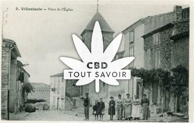 Village à Villesiscle avec feuille Cannabis CBD