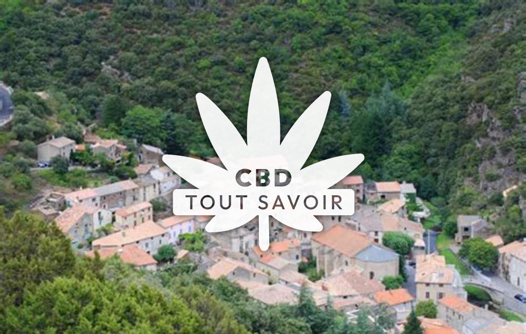 Village à Cabrespine avec feuille Cannabis CBD