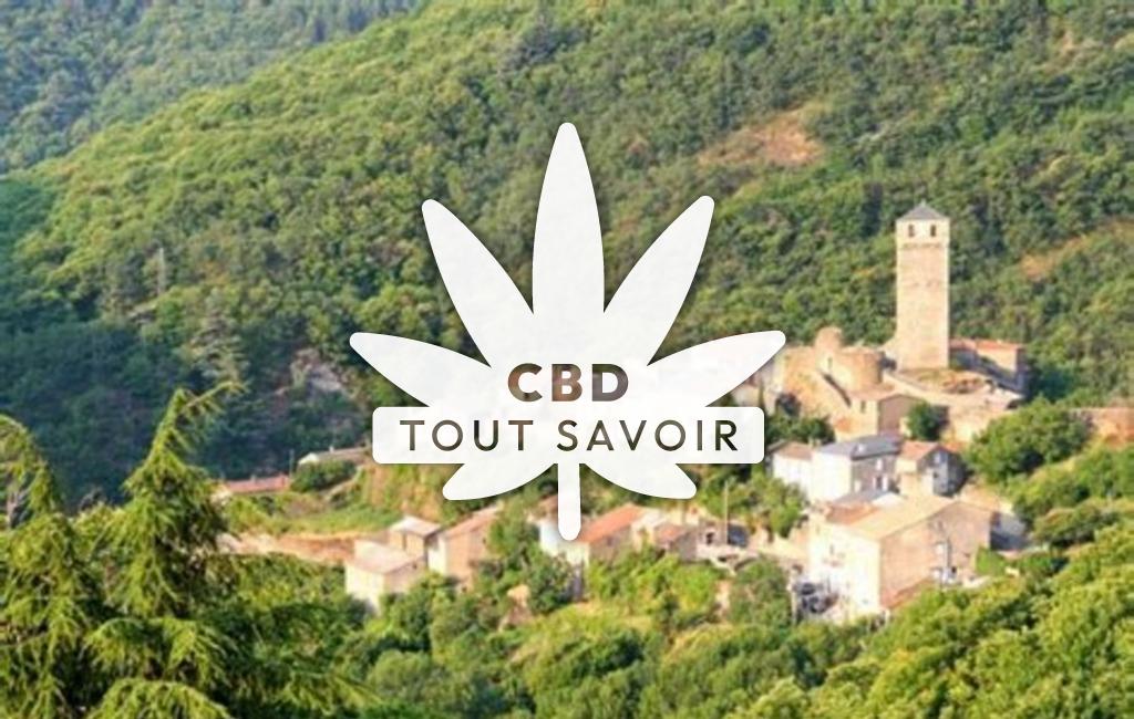 Village à Lespinassiere avec feuille Cannabis CBD