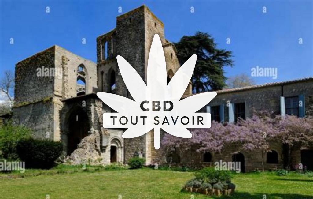 Village à Saint-Martin-le-Vieil avec feuille Cannabis CBD