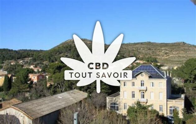 Village à Conilhac-Corbieres avec feuille Cannabis CBD