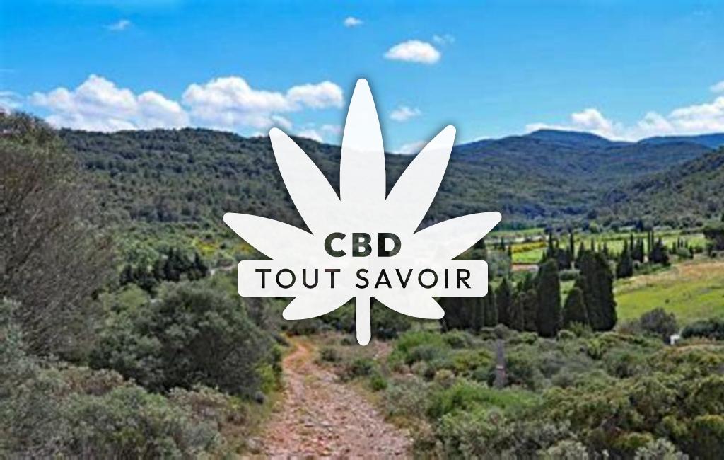 Village à Caunettes-en-Val avec feuille Cannabis CBD