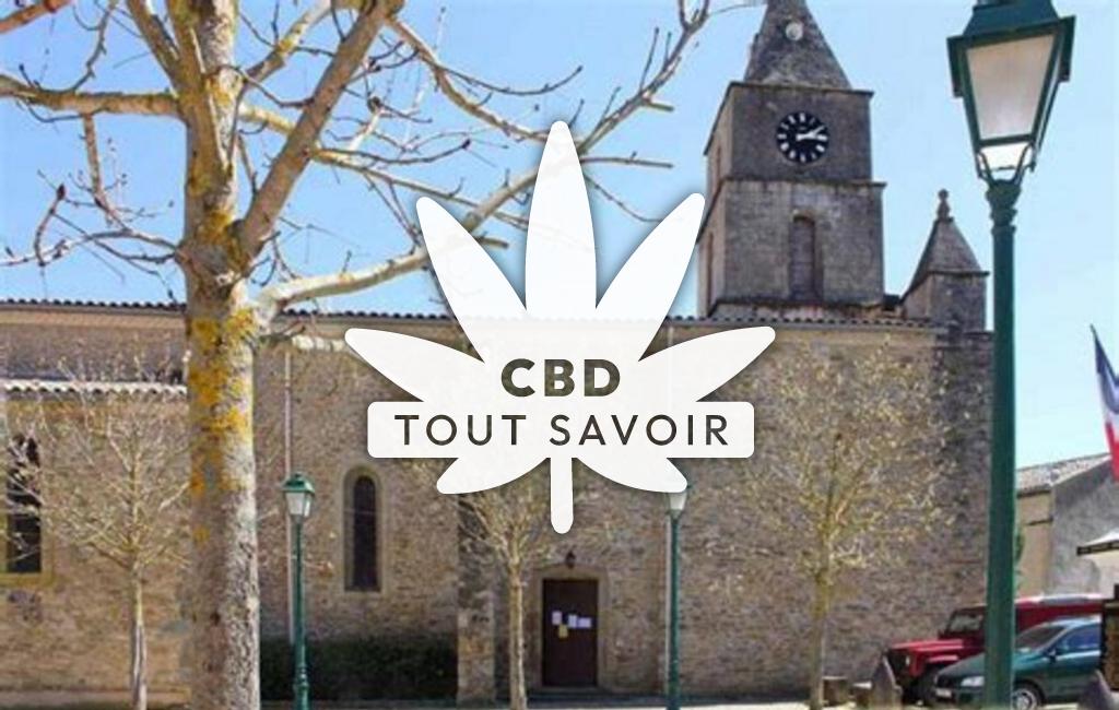 Village à Sainte-Colombe-sur-l'Hers avec feuille Cannabis CBD