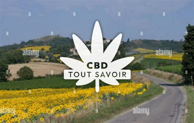 Village à Fenouillet-du-Razes avec feuille Cannabis CBD