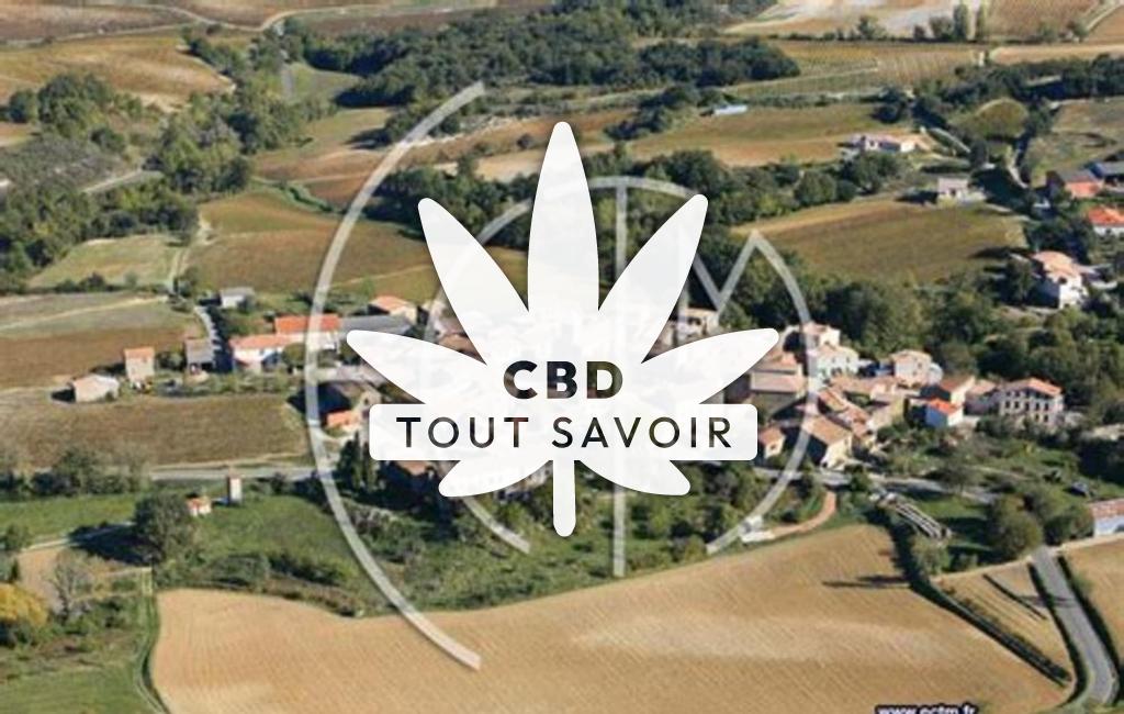 Village à Villar-Saint-Anselme avec feuille Cannabis CBD