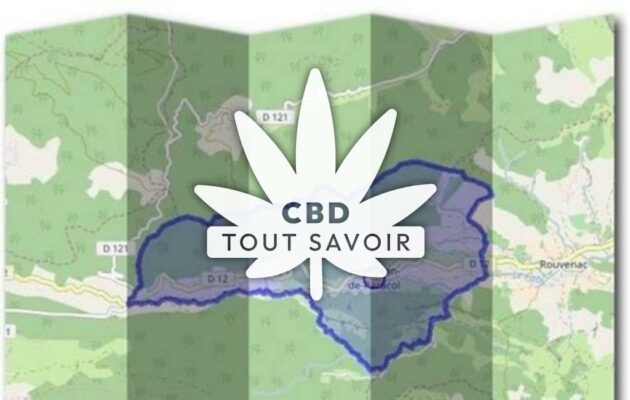 Village à Saint-Jean-de-Paracol avec feuille Cannabis CBD