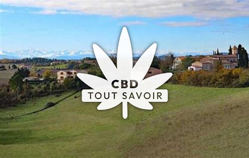 Village à Orsans avec feuille Cannabis CBD