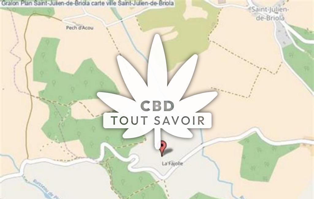 Village à Saint-Julien-de-Briola avec feuille Cannabis CBD