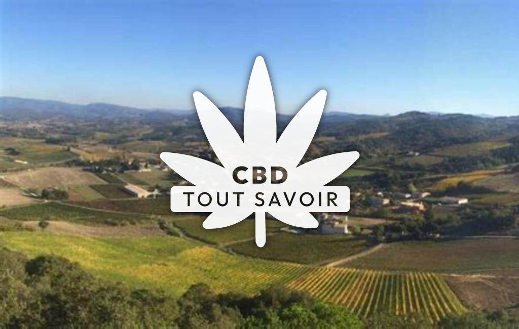 Village à Villelongue-D'Aude avec feuille Cannabis CBD