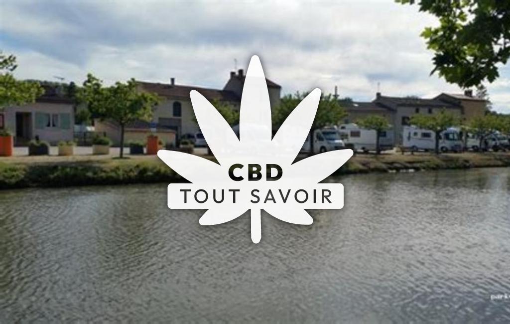 Village à Labastide-D'Anjou avec feuille Cannabis CBD