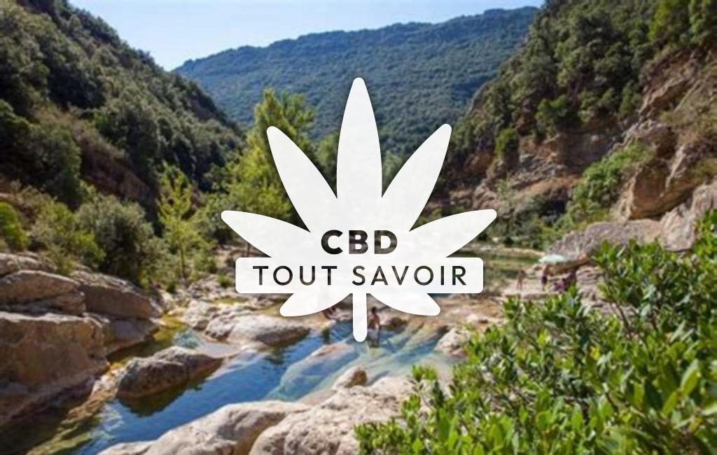 Village à Duilhac-sous-Peyrepertuse avec feuille Cannabis CBD