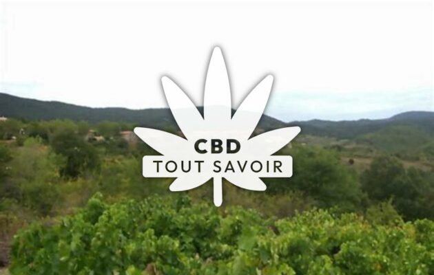 Village à Quintillan avec feuille Cannabis CBD