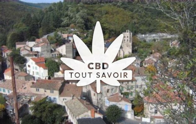 Village à Mas-Cabardes avec feuille Cannabis CBD