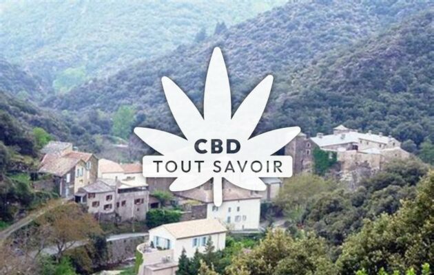 Village à Roquefere avec feuille Cannabis CBD