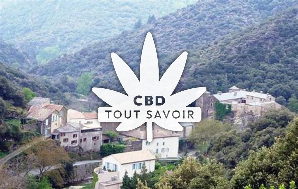 Village à Roquefere avec feuille Cannabis CBD