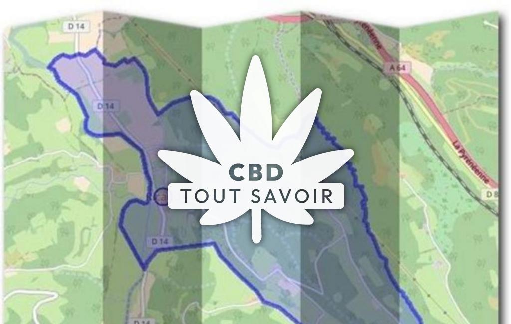 Village à Ricaud avec feuille Cannabis CBD