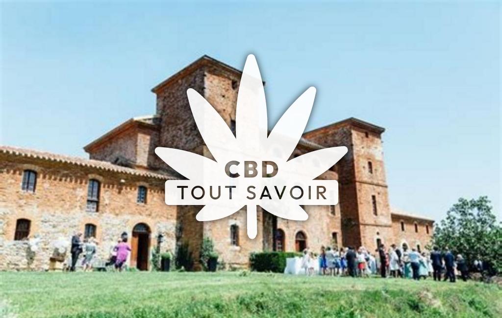 Village à Fajac-la-Relenque avec feuille Cannabis CBD