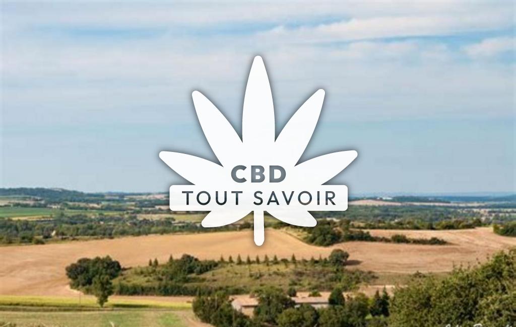 Village à Mezerville avec feuille Cannabis CBD