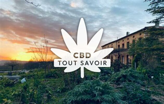 Village à Sainte-Camelle avec feuille Cannabis CBD