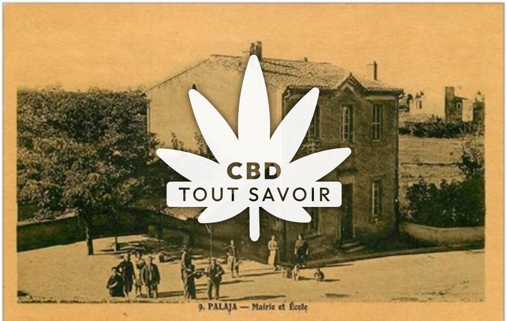 Village à Palaja avec feuille Cannabis CBD