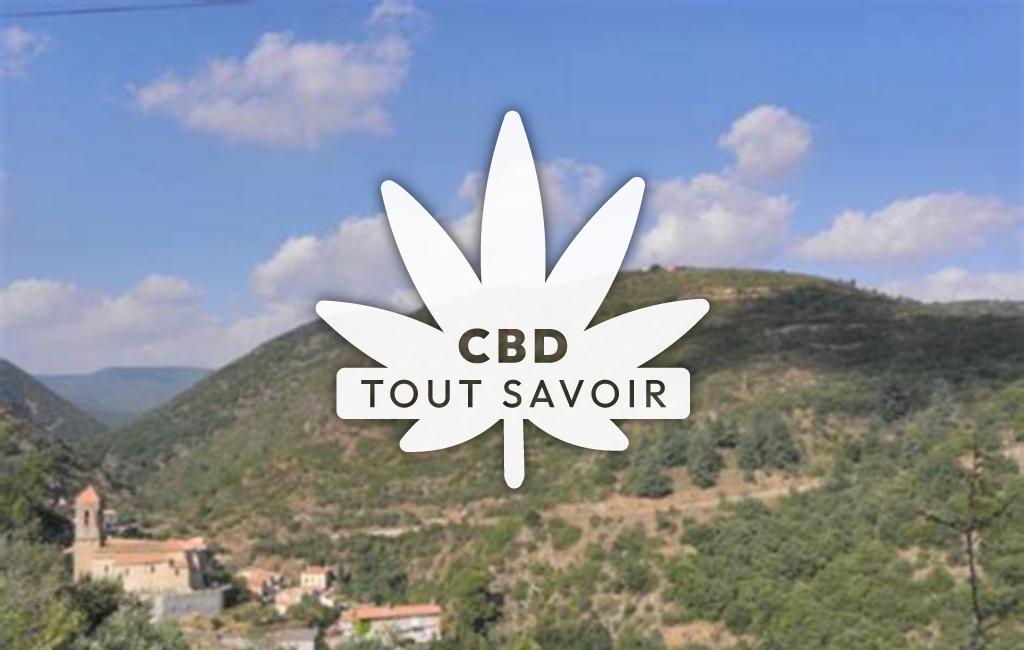 Village à Fournes-Cabardes avec feuille Cannabis CBD