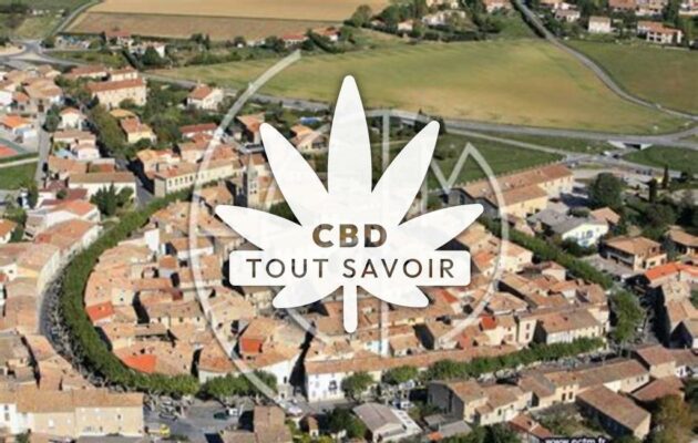 Village à Villemoustaussou avec feuille Cannabis CBD