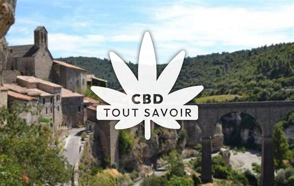 Village à Aigues-Vives avec feuille Cannabis CBD