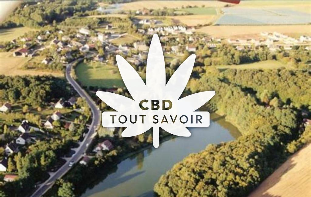 Village à Saint-Georges-sur-Moulon avec feuille Cannabis CBD