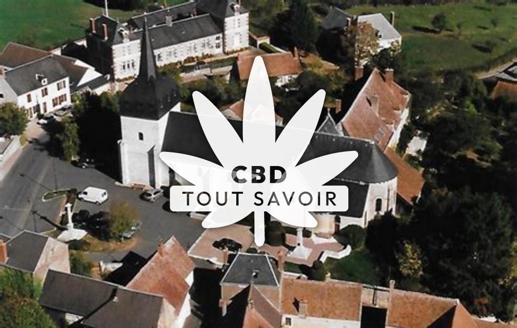 Village à Saint-Hilaire-en-Lignieres avec feuille Cannabis CBD