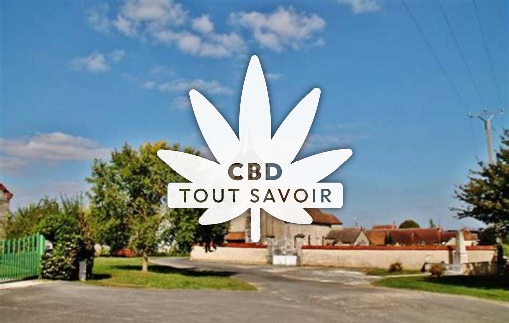 Village à Sainte-Gemme-en-Sancerrois avec feuille Cannabis CBD