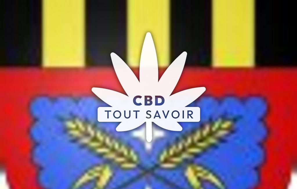 Village à Subligny avec feuille Cannabis CBD